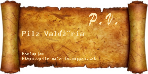 Pilz Valéria névjegykártya